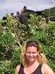 Cherie with her frigate friends on Isla Isabela. *Photo by Greg.