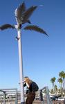 Painted in battleship gray, this "urban tree" was designed by Larry and Debby Kline.