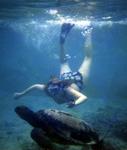Cherie swims with a turtle in Hawaii.