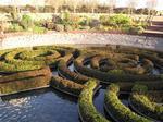 A maze of 400 azaleas.