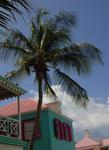 Blue skies and pink roofs.