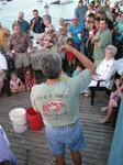 Crowds gather to watch Tito and Sue's crab races.