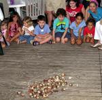 People pay $2 a crab and the owners of the first three crabs to cross the finish line win valuable prizes.