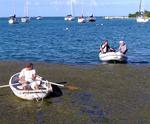 There's the blue water St. Croix is famous for!