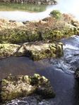 You could smell the purity of the running water.