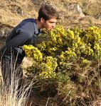 On every hike, you must remember to stop and smell the flowers.  These tiny yellow ones smell like coconuts!