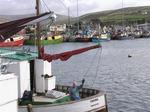 A wave from the local fisherman.