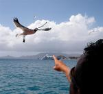 This bird is "eyeing" Dustin. *Photo by Jean.