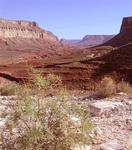 In the hot summer months, the canyon is barren, but peaceful.