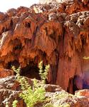 Lisa hiking down to Mooney Falls, a 200-foot waterfall protected by the Supai, a Native American tribe.