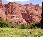 Lisa in the lush canyon. *Photo by Jean.