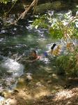 The babbling brook by our campsite.