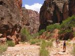 Girls hike in their bikinis in Arizona.