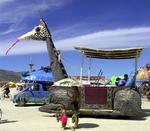 Black Rock Desert Safari. *Photo by Rennie.