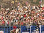 The rodeo crowd.