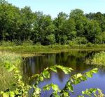 Beautiful Long Lake, Wisconsin.