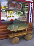 In Mercer, you can chill-out on this classy fish-bench.