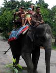 Riding on an elephant.