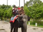 On an Elephant ride.
