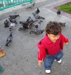 Blake plays with the pidgeons.