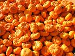 Little pumpkins.