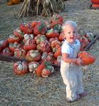 Kylie found her pumpkin.