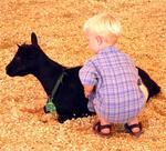 Time to visit the petting zoo (or was it the hugging zoo?)