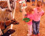 Grace and Ellie feed the animals.