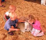 The kids love the animals.