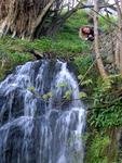 A hike around the monastery's grounds.