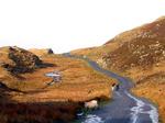 In Ireland, most of the traffic is fluffy.