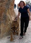 Cherie walks near tiger.  