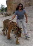 Hilda takes the tiger for a walk.  Hilda excited--tiger calm.