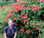 Hannah with wild Poinsettias.