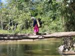 Thailand--where two logs equals a bridge.