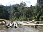 Bamboo raft.