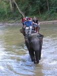 Wading through the river.