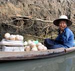 You're never too old to sell coconuts.