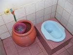 Now that's what I call a nice squat toilet!