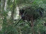 Leighton in his tree-house.