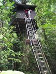 The twins in their little tree-top bungalo.