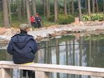 Fishing in the pond.