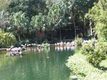 Hong Kong is full of beautiful parks nestled between sky-scrapers.