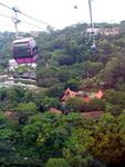 Soaring over the lush green vegetation of Sentosa.