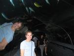 Margaret in a tunnel of sharks.