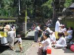 The holy springs of Tirta Empul.