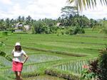 Cherie near the fields.