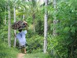 The Balinese have strong hands.