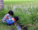 Little girls at play.