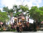 The two men underneath the Barong costume dance wildly around on stage.